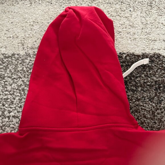 BREAKINGT (L) Four Hours of Hell Phillies Hoodie Red October CBP  Postseason MLB - Picture 8 of 9